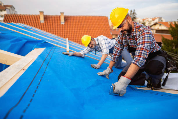 Best Roof Leak Repair  in Sissonville, WV